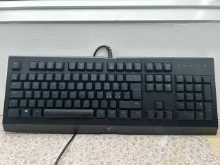 Razer cynosa chroma tastatur