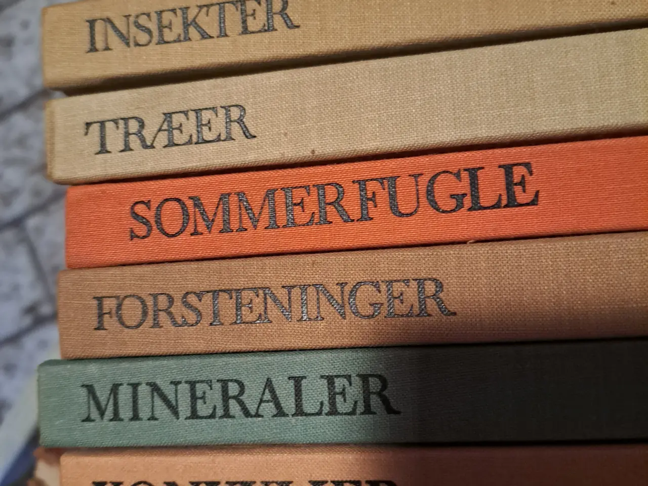 Billede 1 - Insekter, træer bøger osv.