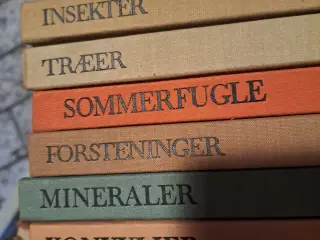 Insekter, træer bøger osv.