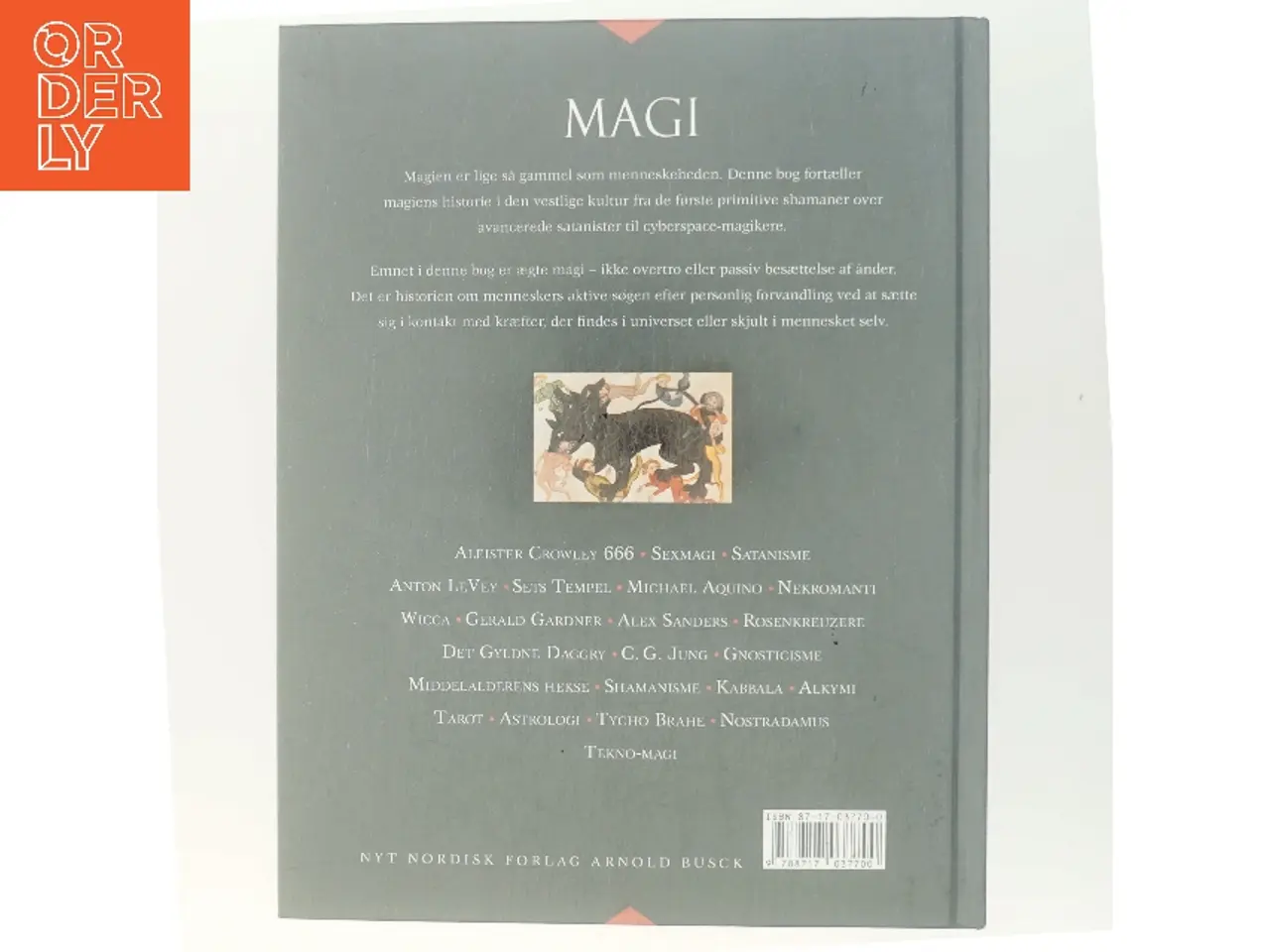 Billede 3 - Magi : fra shamanisme til tekno-magi af Nevill Drury (Bog)