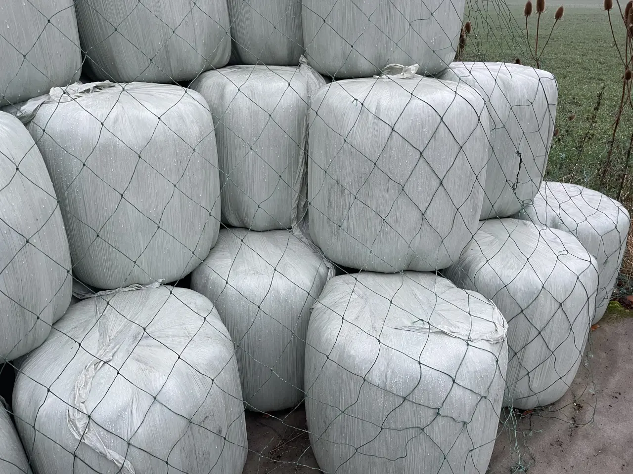 Billede 1 - Wrapballer til heste