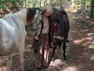 Skøn kommende spring hest