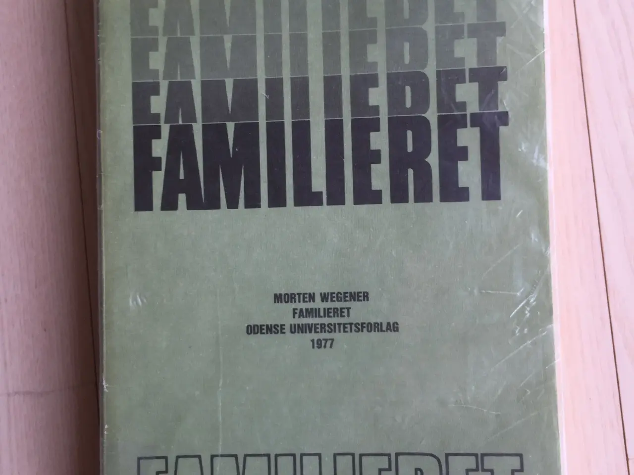 Billede 1 - Familieret
