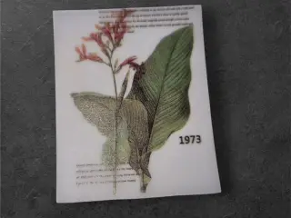 Vintage papirark med botanisk motiv og årstal 1973