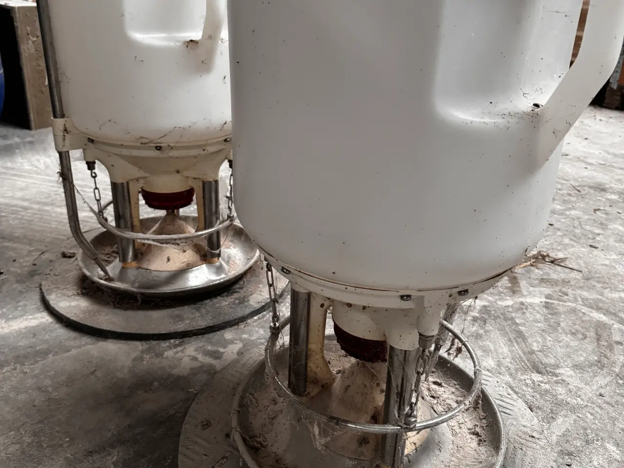 Billede 6 - First feeder foderautomat