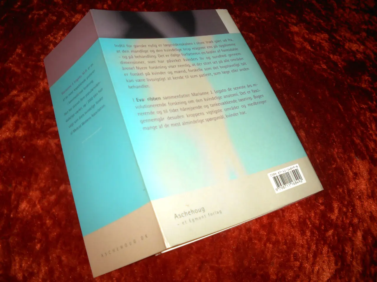 Billede 2 - Evas ribben, Marianne J. Legato, 