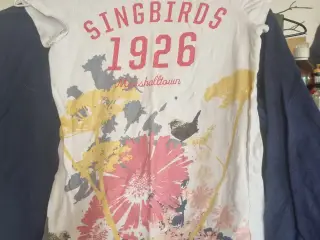 Annonce 494 - Beklædning