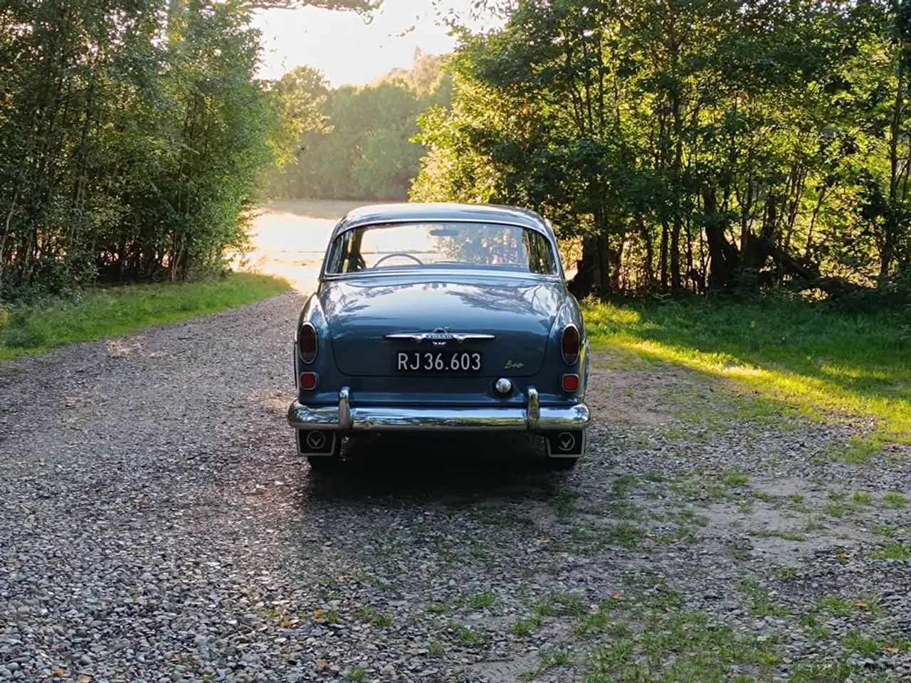 Billede 5 - 1962 Volvo amazon
