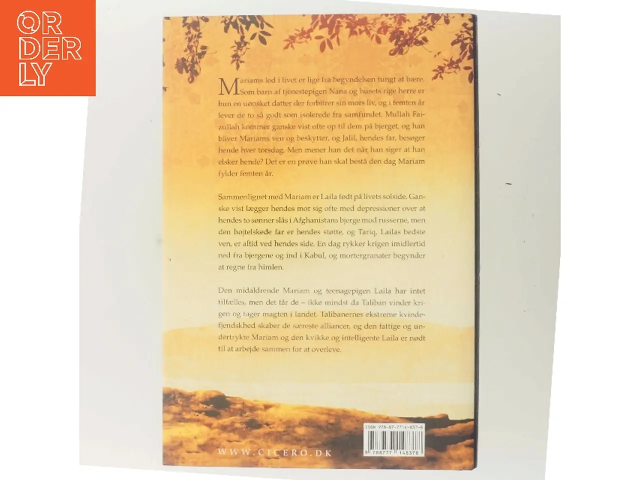Billede 3 - Under en strålende sol af Khaled Hosseini (Bog)