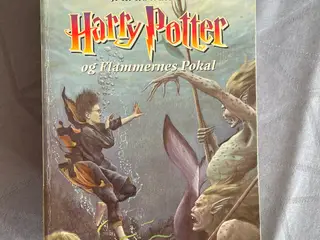 Harry Potter og flammernes pokal, Halvblodsprisen