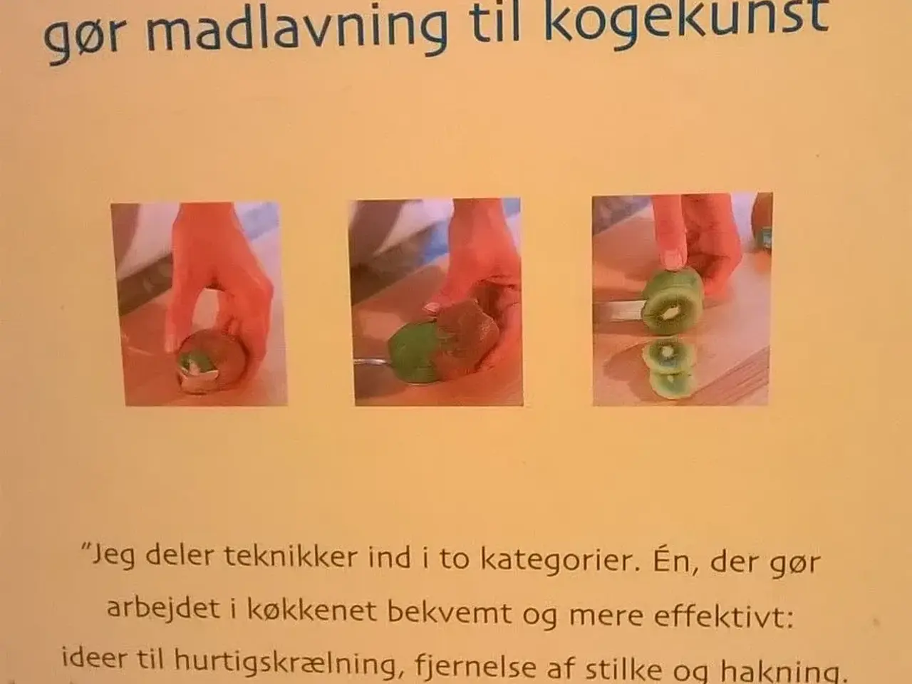 Billede 2 - Gastronomisk grundbog
