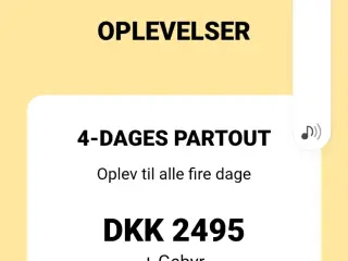 4 day Partout Wristband - TF 2026