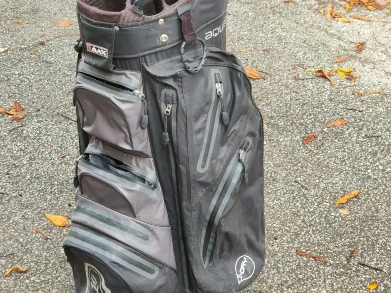 Billede 1 - Golfbag