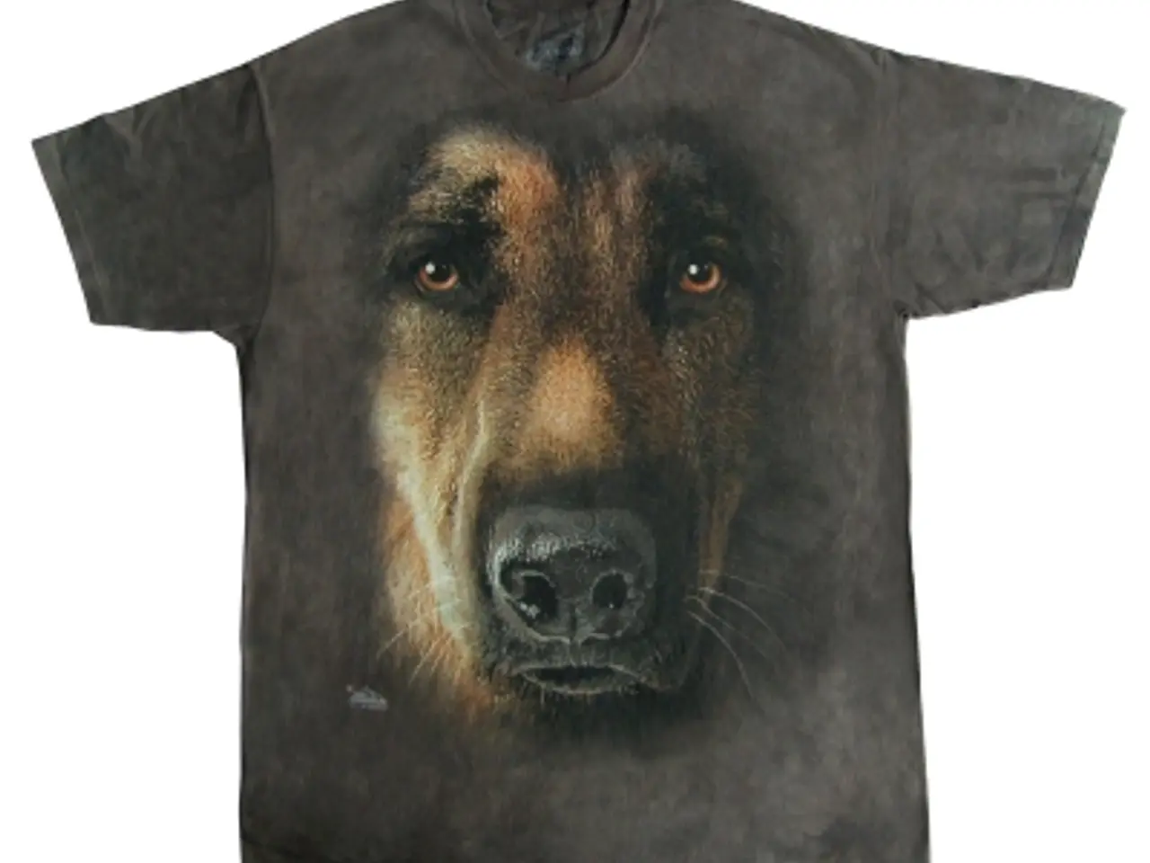 Billede 3 - The Mountain hunde T-shirts i flere str.
