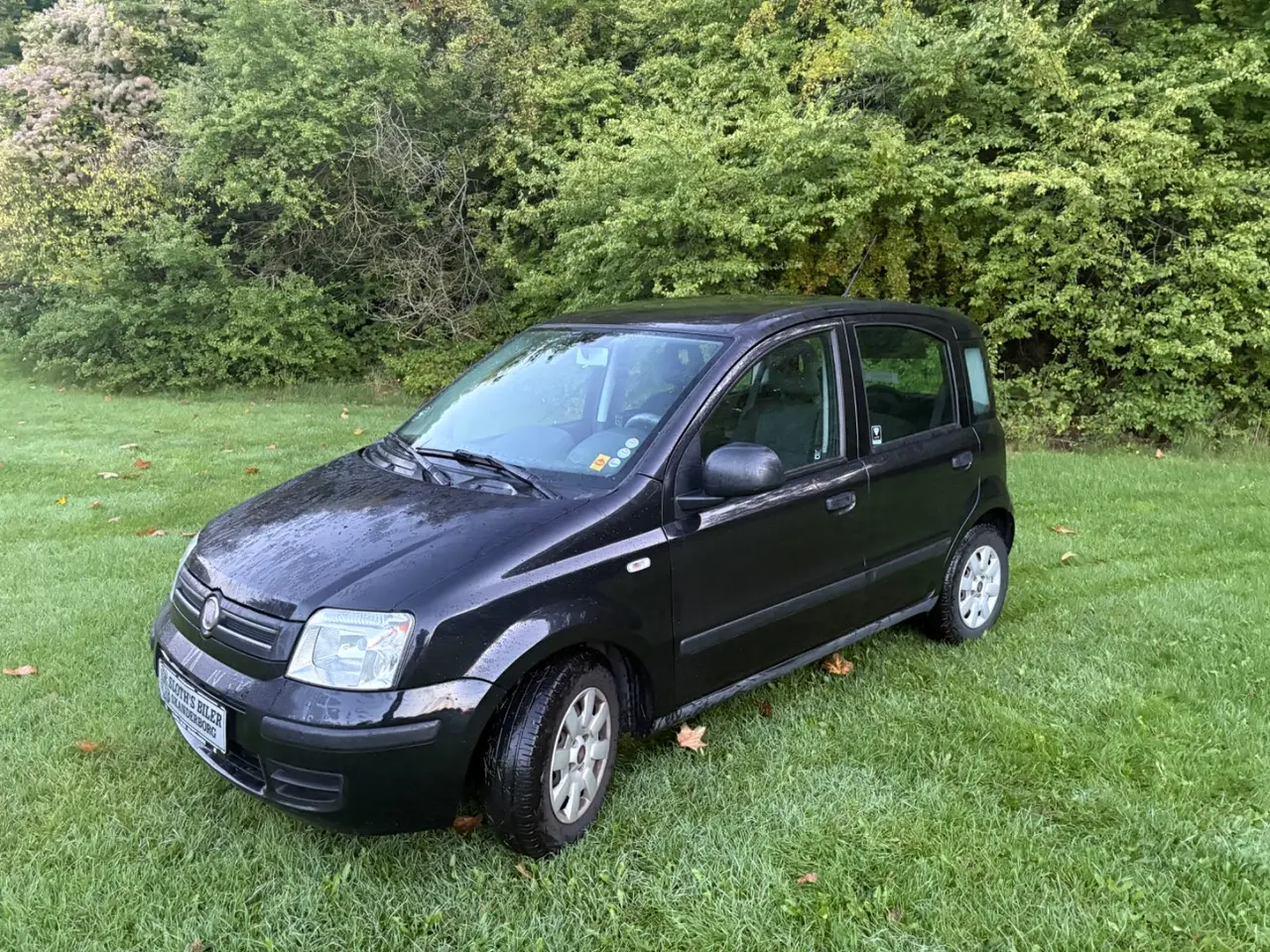 Billede 10 - Fiat Panda 1,2 69 Dynamic