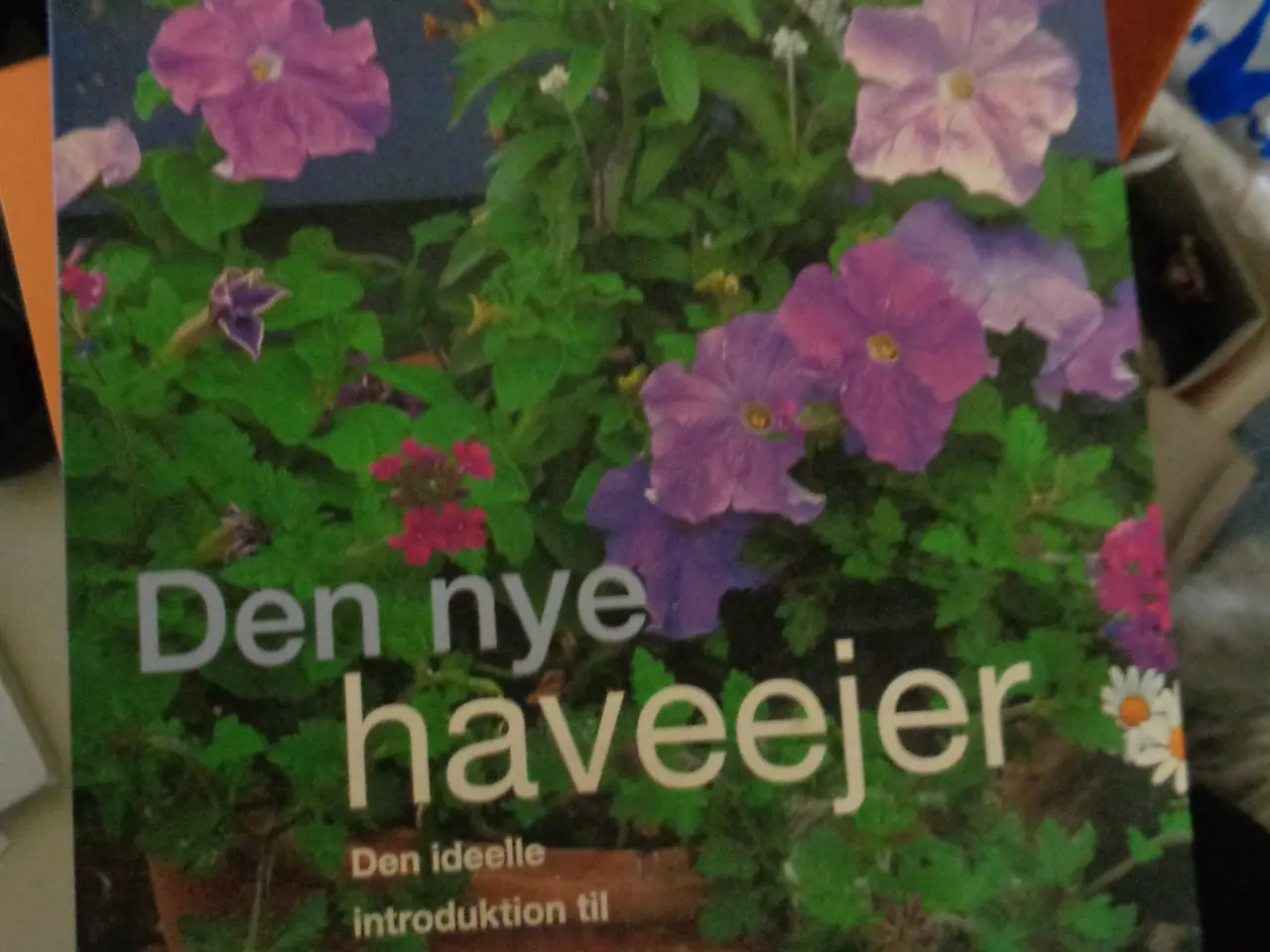 Billede 1 - Den nye haveejer