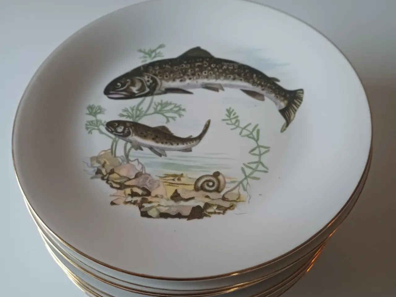 Billede 3 - Fisketallerkener 8 stk.