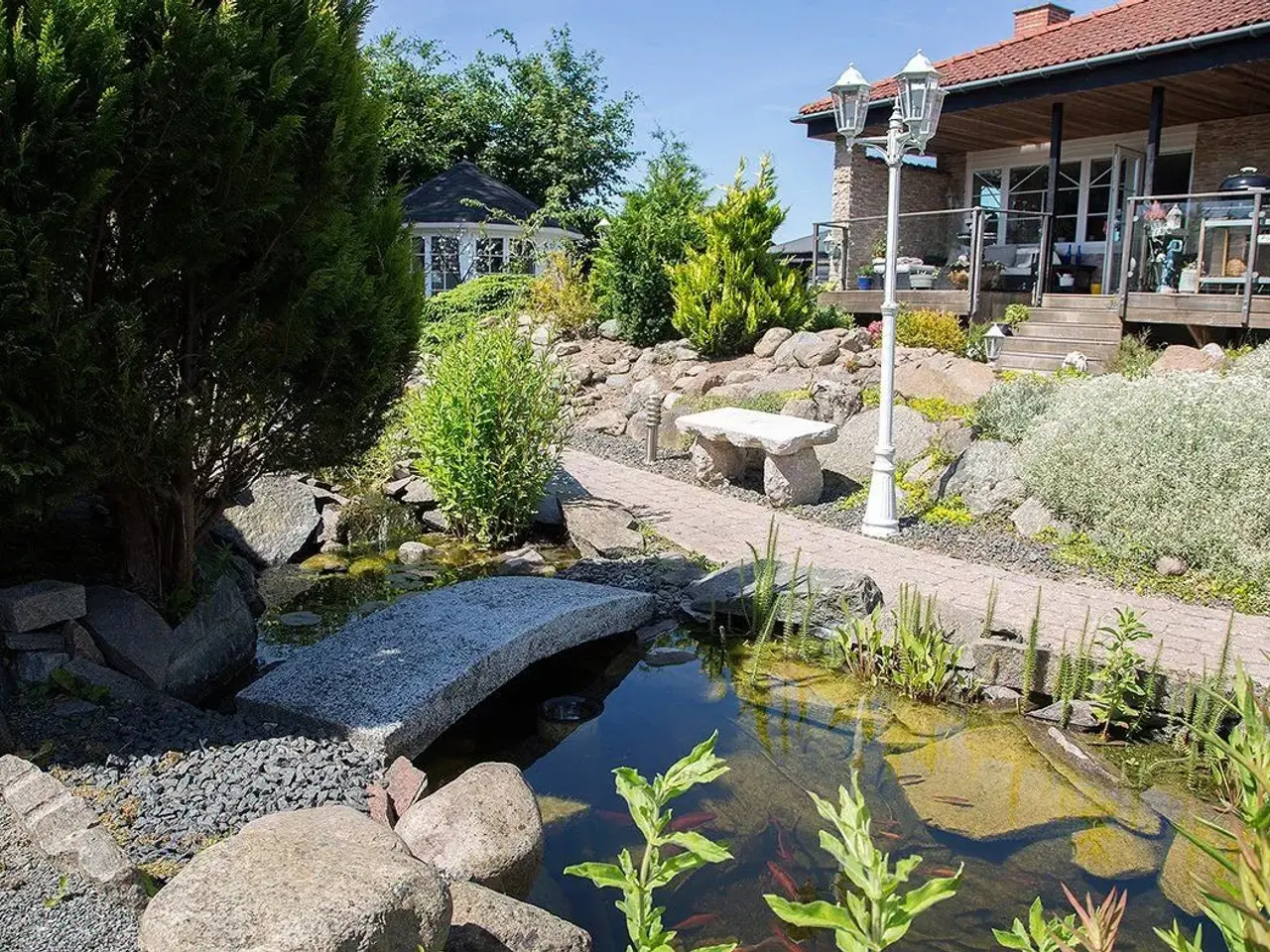 Billede 2 - Sumpskildpadder