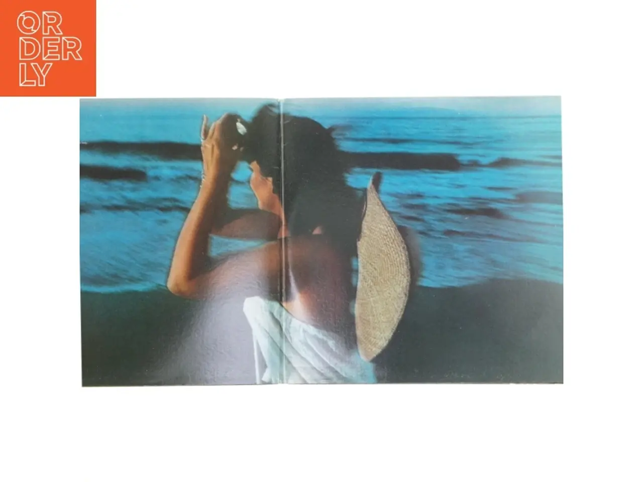 Billede 2 - Linda Ronstadt - Hasten Down the Wind LP