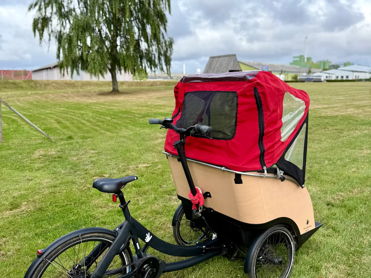 Billede 2 - Triobike Taxi el-ladcykel