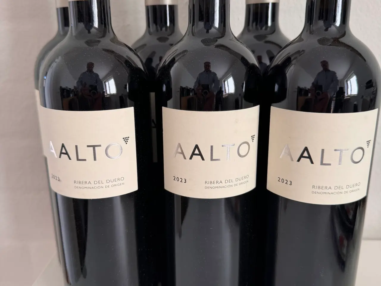 Billede 1 - Aalto ribera del Duero