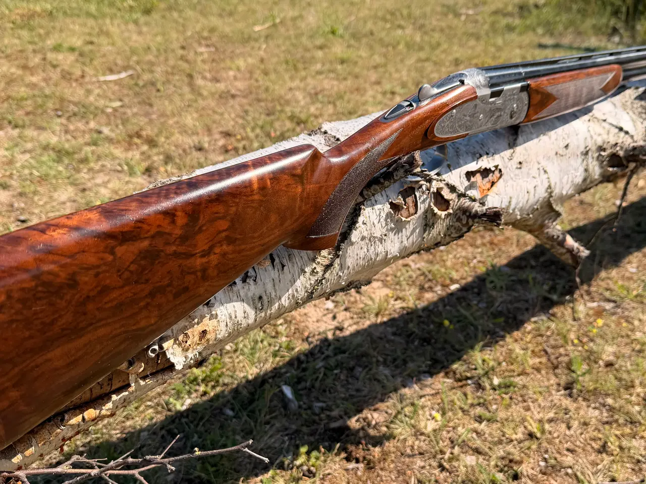 Billede 1 - Beretta 687 EELL 20/76 Med nye billeder