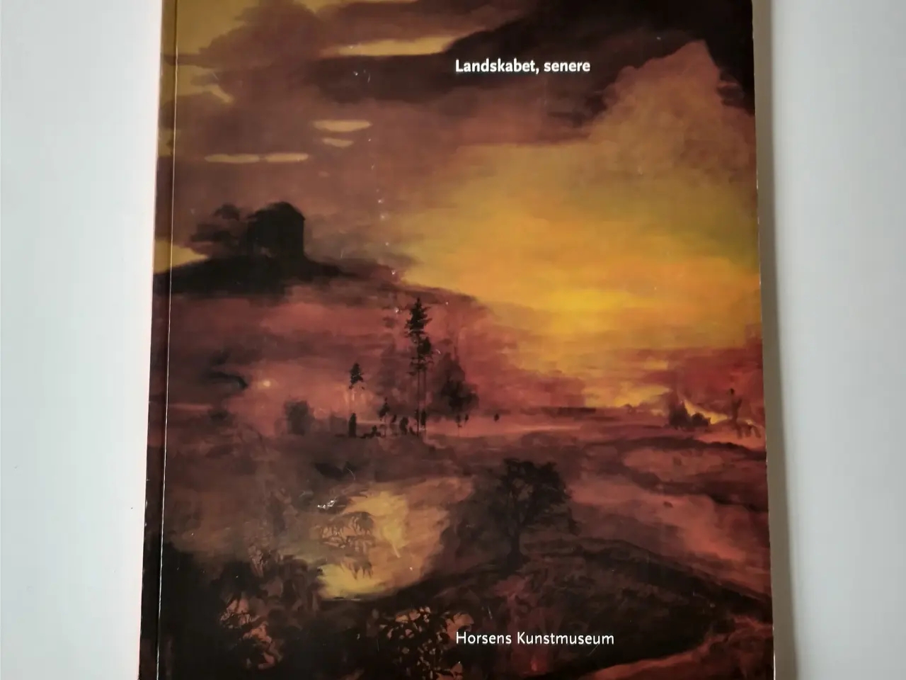 Billede 1 - Nina Sten-Knudsen - Landskabet, senere