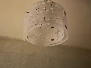 Loftlampe