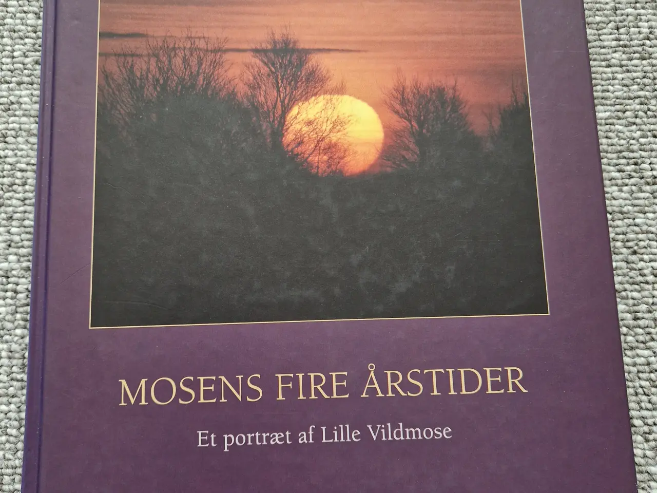 Billede 1 - Mosens fire årstider 