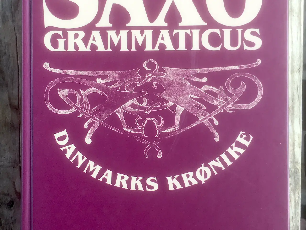 Billede 1 - Saxo Grammaticus - Danmarks Krønike