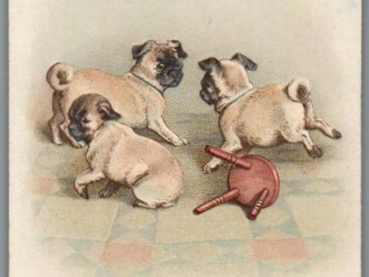 Billede 1 - Kartonkort - 19 - 7 - 1917 - Hundehvalpe