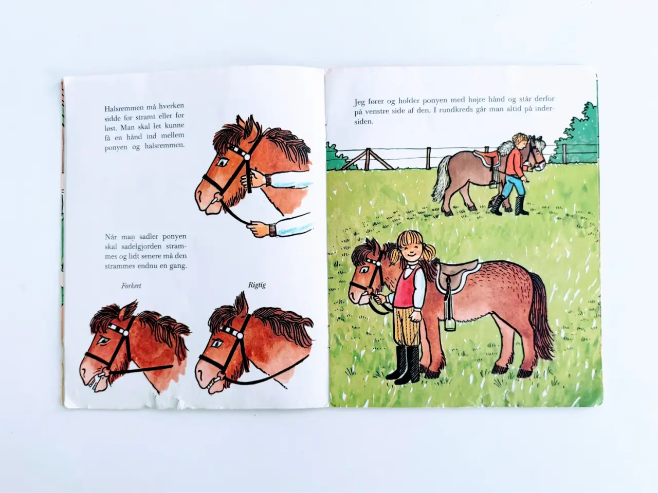 Billede 6 - Pony ABC børnebog (ælle-bælle) m. illustrationer