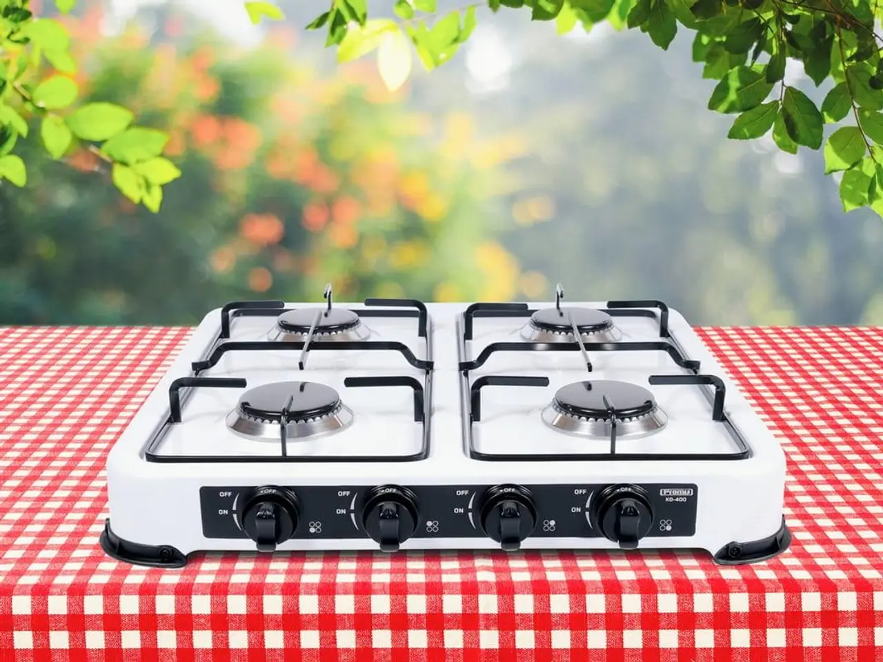 Billede 5 - Fritstående gaskogeplade PROMIS KG400S