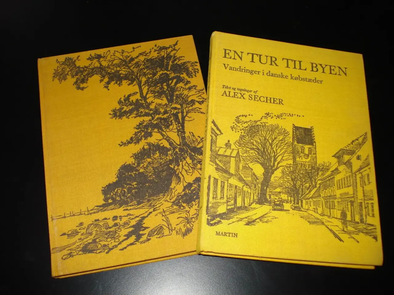 Billede 1 - Alex Secher