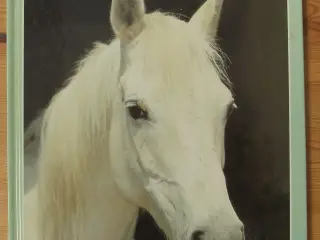 Horses af Jane Burton