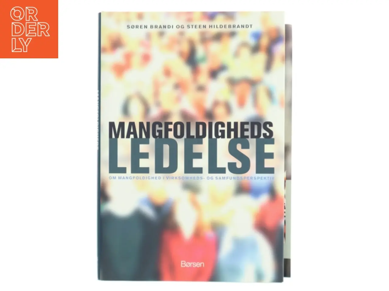 Billede 1 - Mangfoldighedsledelse : om mangfoldighed i virksomheds- og samfundsperspektiv (Bog)