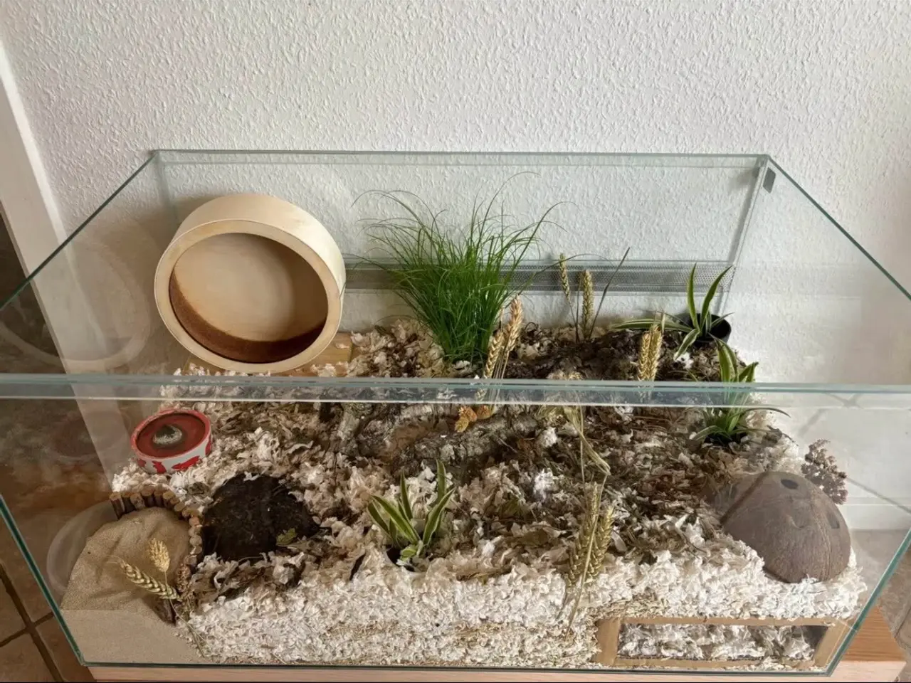 Billede 1 - Hamsterbur