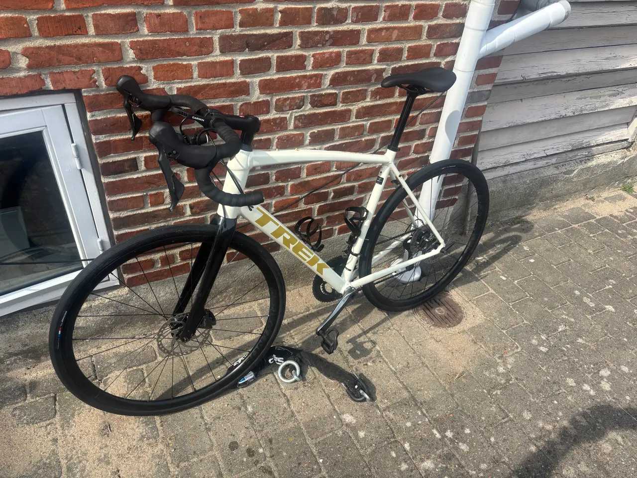 Billede 1 - Trek domane al 4