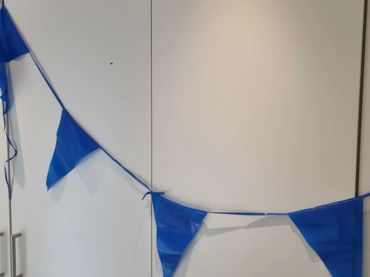 Billede 1 - Studenterpynt