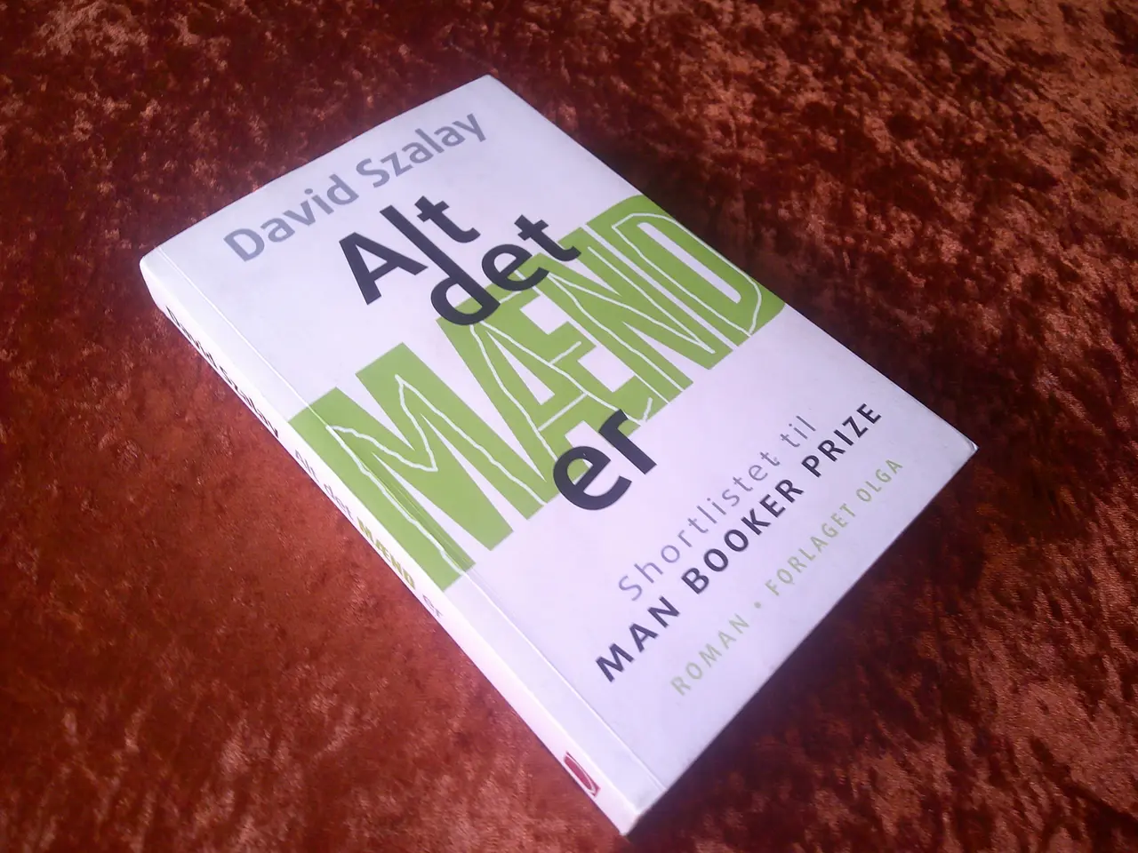 Billede 1 - Alt det mænd er, David Szalay