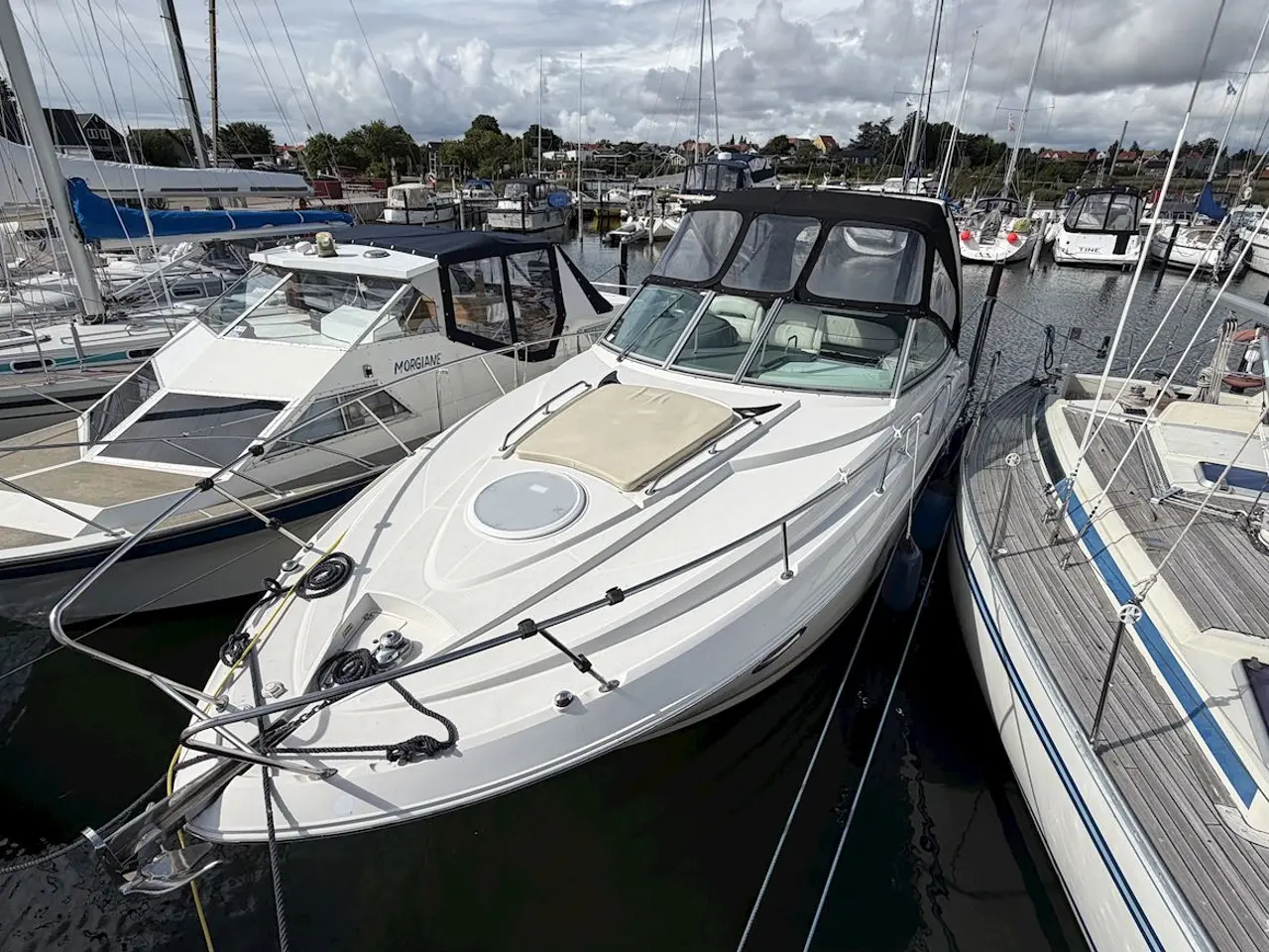 Billede 5 - Monterey 290