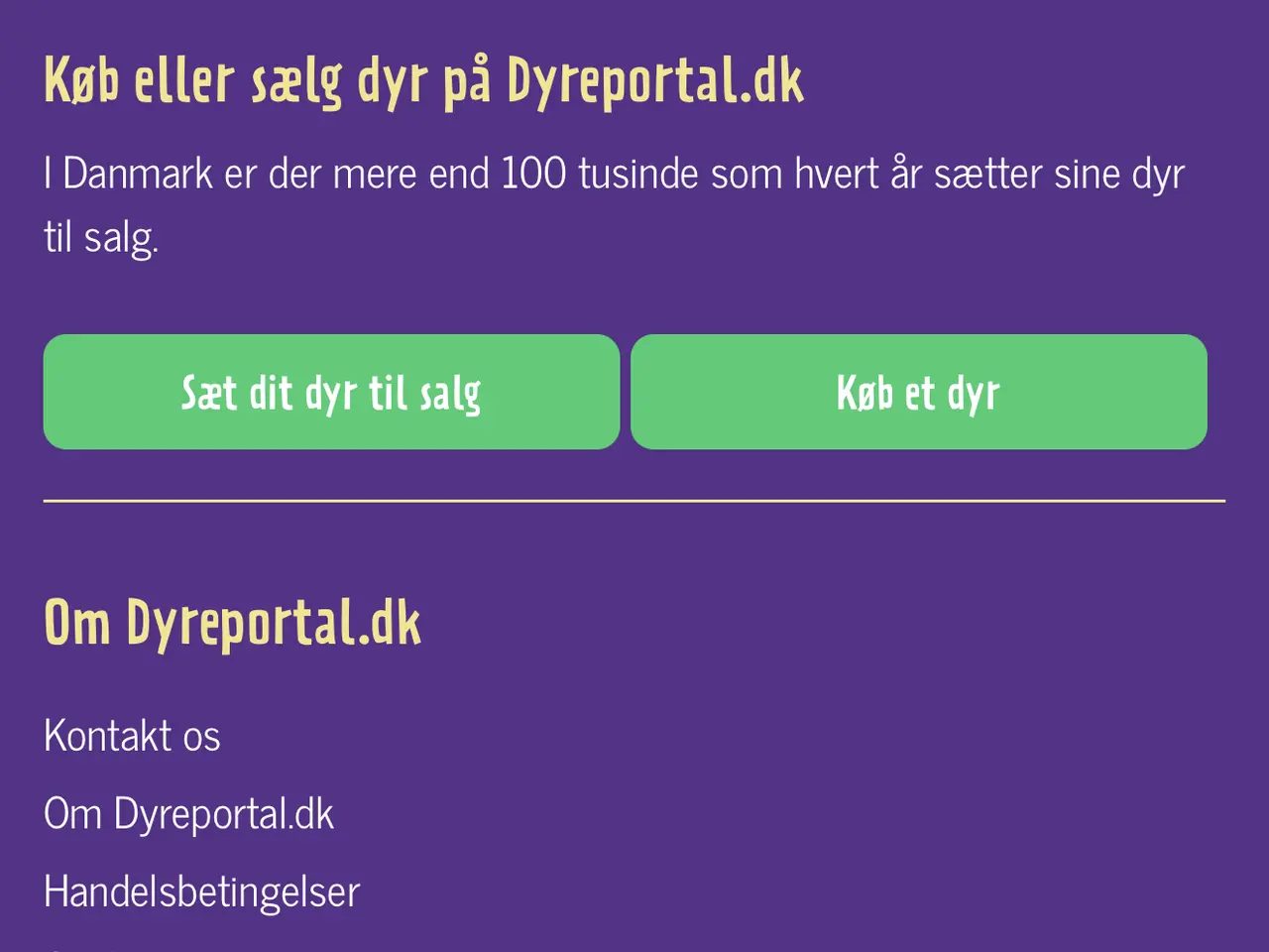 Billede 1 - British Shorthair hankat med stamtavle