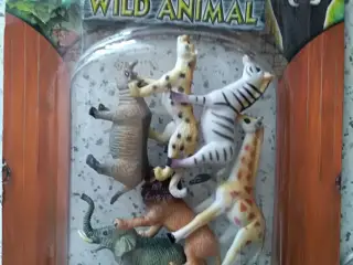 Wild Animal