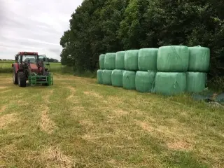 Økologisk Wraphø