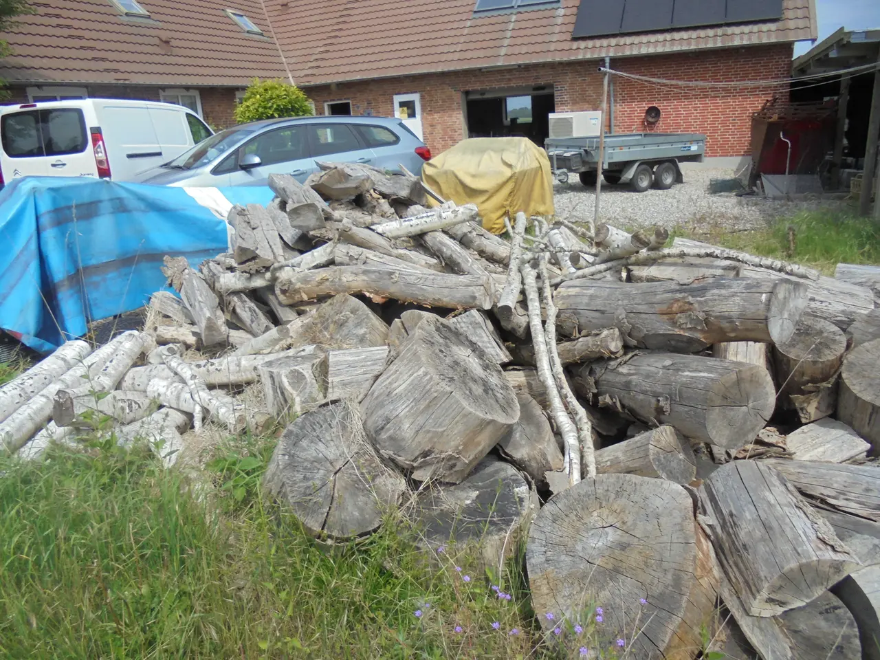 Billede 4 - Bøgebrænde i store stykker
