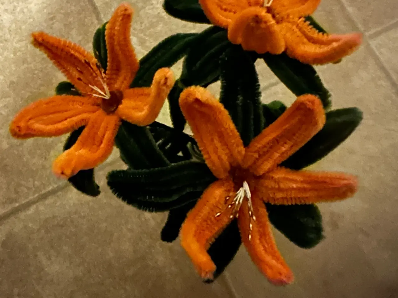 Billede 5 - Blomster lavet af piberensere