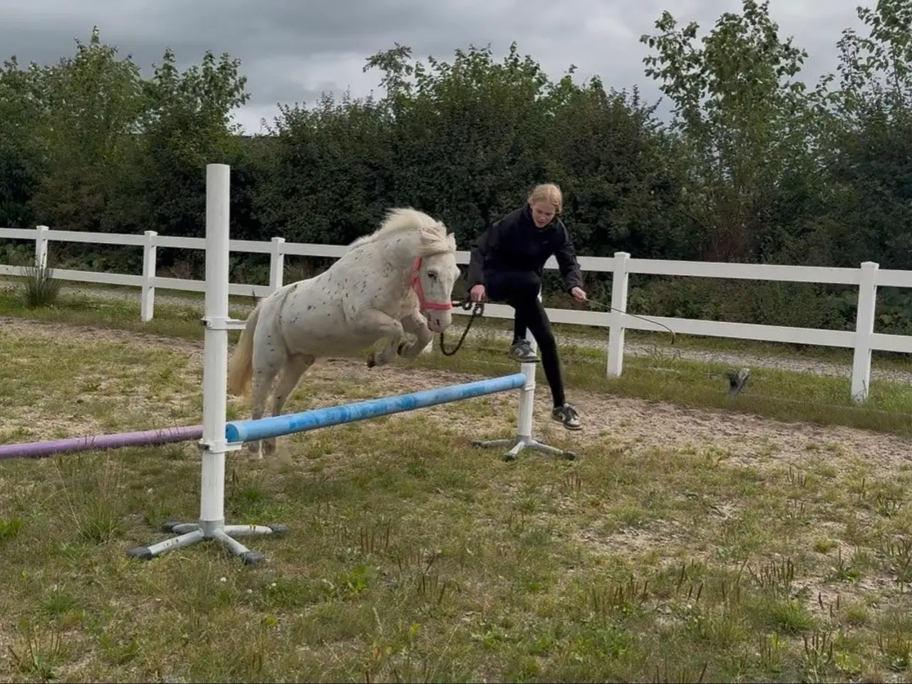 Billede 1 - Krammebamse