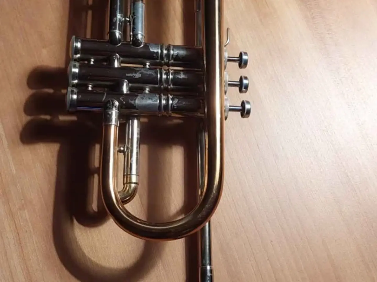 Billede 1 - Parrot trumpet 🎺