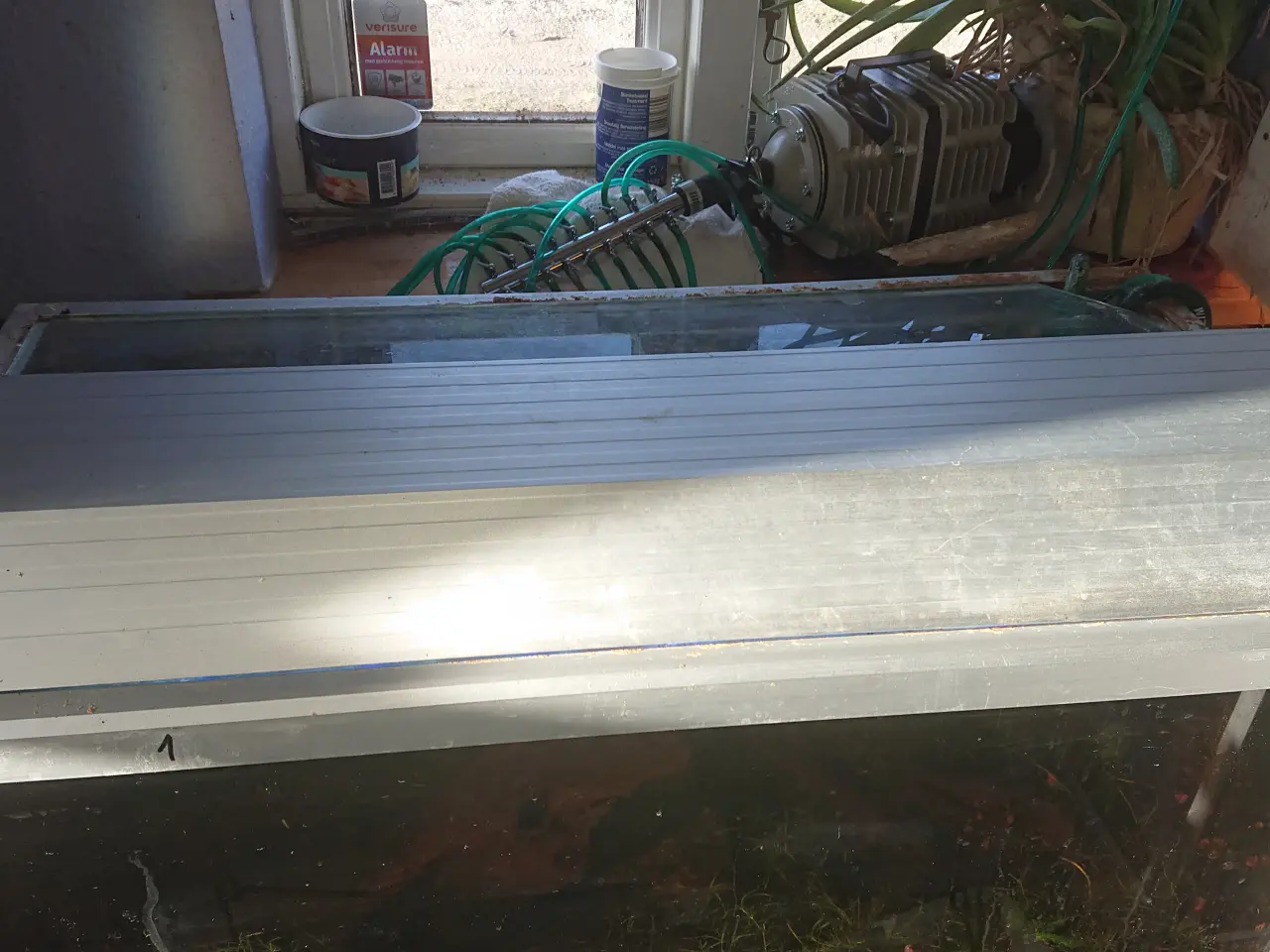 Billede 1 - Akvarie ameturer