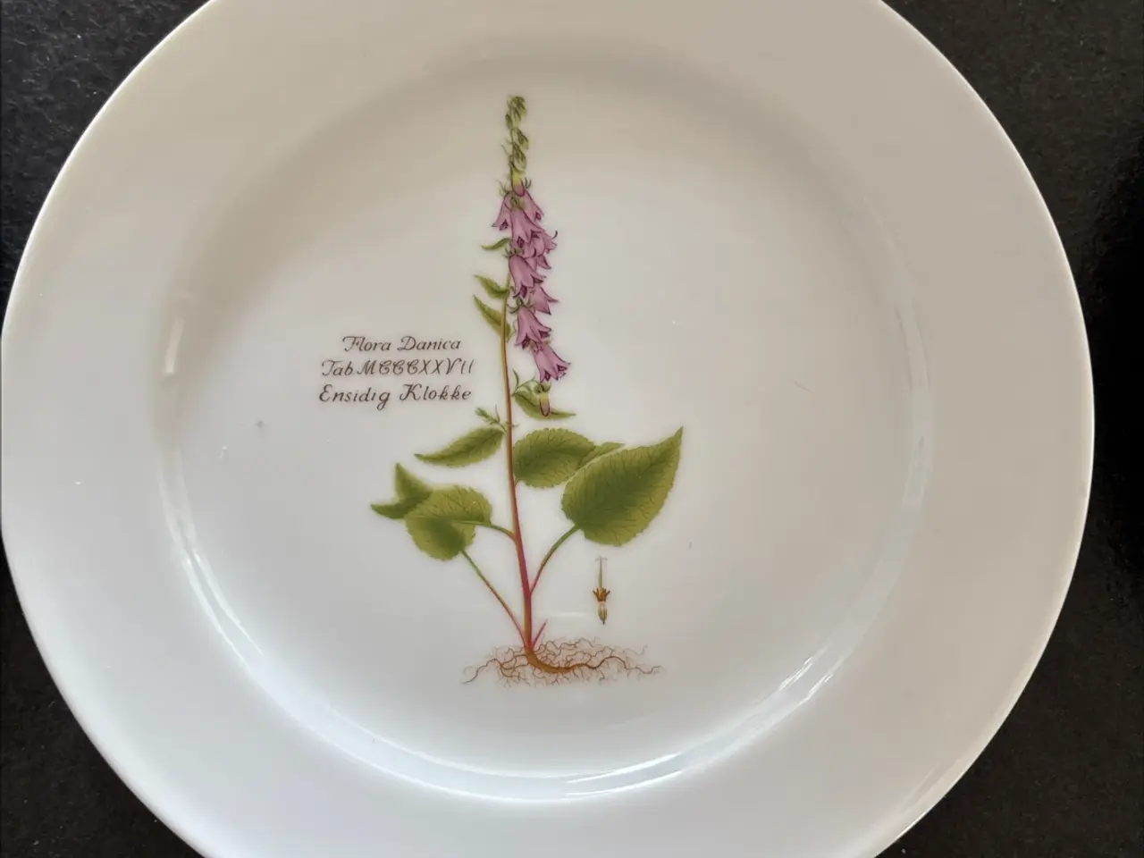 Billede 8 - Flora Danica/Faxe platter sælges